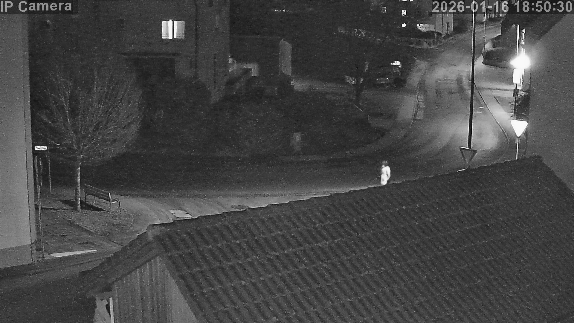 Aktuelles Wetter-Bild aus Neuler